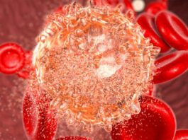 Vibecotamab tratamiento leucemia mieloide aguda