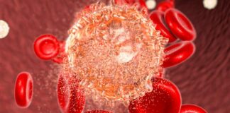 Vibecotamab tratamiento leucemia mieloide aguda