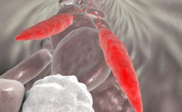 diana potencial crear vacunas leishmaniasis