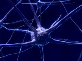 terapia células T con CAR, neuroblastoma