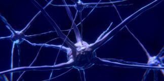 terapia células T con CAR, neuroblastoma