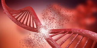 terapia edición genes CTX001 efectos duraderos pacientes TDT y células falciformes