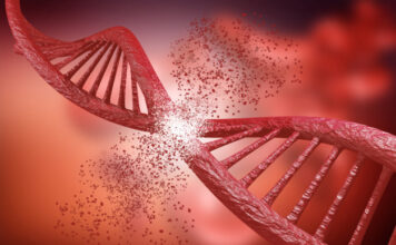 terapia edición genes CTX001 efectos duraderos pacientes TDT y células falciformes