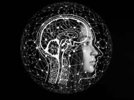 Investigadores descubren causa genética malformación de Chiari