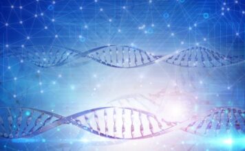 datos estudio apoyan Ganaxolone para trastorno de deficiencia de CDKL5