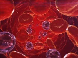 hemoglobina fetal, tratar anemia falciforme