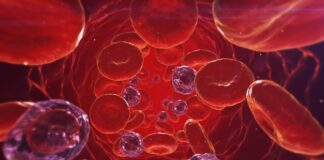 hemoglobina fetal, tratar anemia falciforme