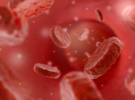 inhibidores BET tratar macroglobulinemia de Waldenström