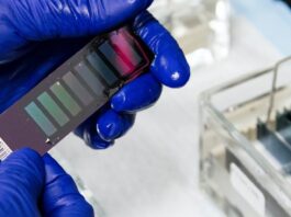 métodos medir actividad de C1-INH angioedema herediatrio