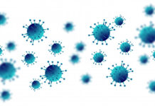 terapia nanocuerpos inhalables combatir Covid