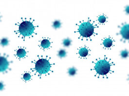 terapia nanocuerpos inhalables combatir Covid