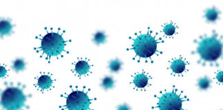 terapia nanocuerpos inhalables combatir Covid