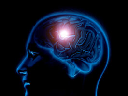 vía celular capaz limitar crecimiento propagación de tumores cerebrales