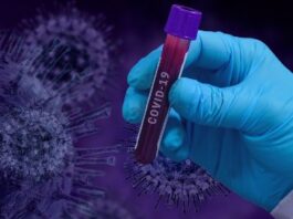 COVID-19: La combinación de los anticuerpos de Lilly, bamlanivimab y etesevimab, recibe la autorización de uso de emergencia de la FDA