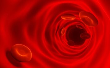 Datos preliminares disponibles en SPK-8016 para la hemofilia A