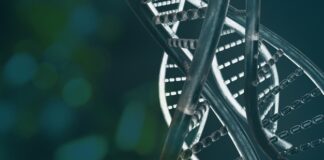 Esta colaboración quiere erradicar los trastornos del sistema nerviosos central con cargas útiles de mini genes