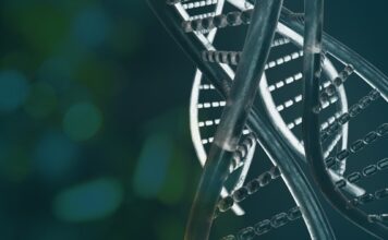 Esta colaboración quiere erradicar los trastornos del sistema nerviosos central con cargas útiles de mini genes