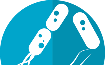 Infecciones por estafilococos comunes en pacientes con epidermólisis ampollosa