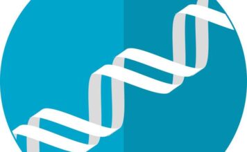 científicos identifican los riesgos genéticos de una enfermedad inflamatoria rara