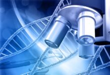 diferencias en la actividad de varios genes pueden impulsar la esclerodermia