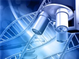 diferencias en la actividad de varios genes pueden impulsar la esclerodermia