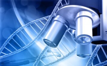 diferencias en la actividad de varios genes pueden impulsar la esclerodermia