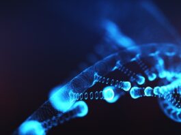 edición precisa del genoma como terapia para la progeria muestra resultados positivos en ratón