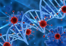 investigación identifica precursores genéticos del rabdomiosarcoma