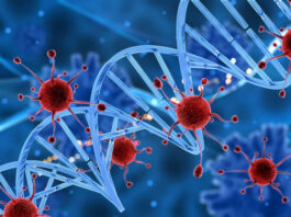 investigación identifica precursores genéticos del rabdomiosarcoma