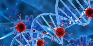 investigación identifica precursores genéticos del rabdomiosarcoma
