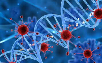 investigación identifica precursores genéticos del rabdomiosarcoma