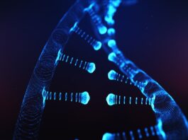 investigadores identifican 9 genes que aumentan el riesgo de enfermedad de Addison