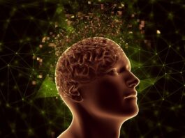El mapeo detallado del glioblastoma puede conducir al desarrollo de nuevos tratamientos para combatirlo
