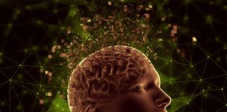 El mapeo detallado del glioblastoma puede conducir al desarrollo de nuevos tratamientos para combatirlo