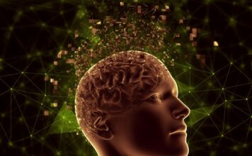 El mapeo detallado del glioblastoma puede conducir al desarrollo de nuevos tratamientos para combatirlo