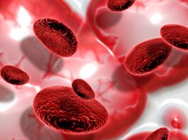 Una nueva estrategia para destruir las células cancerosas mediante nanopartículas y campos magnéticos