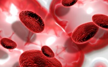 Una nueva estrategia para destruir las células cancerosas mediante nanopartículas y campos magnéticos