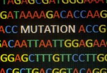 programa de pruebas genéticas redujo edad de diagnóstico molecular en niños