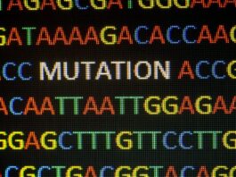 programa de pruebas genéticas redujo edad de diagnóstico molecular en niños