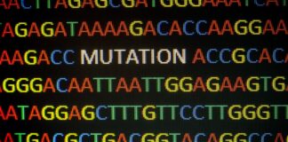 programa de pruebas genéticas redujo edad de diagnóstico molecular en niños