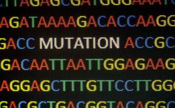 programa de pruebas genéticas redujo edad de diagnóstico molecular en niños