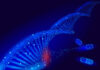 A 20 años de la secuenciación del genoma humano