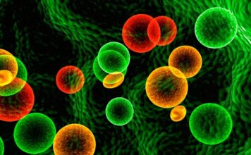 Amgen presenta nuevos datos de supervivencia en pacientes pediátricos con leucemia linfoblástica aguda