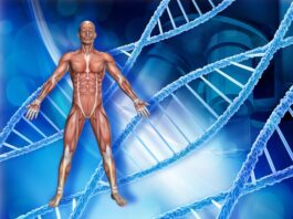Amondys 45 Aprobado para distrofia muscular de Duchenne