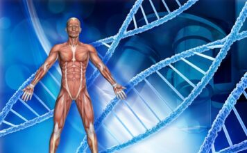 Amondys 45 Aprobado para distrofia muscular de Duchenne