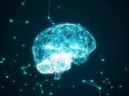 Descubren un nuevo objetivo terapéutico, basado en la inmunoterapia, y centrado en tumores cerebrales malignos