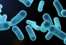 Enzima diseñada por computadora puede ayudar a matar pseudomonas aeruginosa en biopelículas