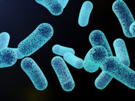 Enzima diseñada por computadora puede ayudar a matar pseudomonas aeruginosa en biopelículas