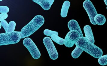 Enzima diseñada por computadora puede ayudar a matar pseudomonas aeruginosa en biopelículas