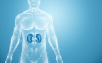 Estudio identifica nuevas mutaciones del síndrome de Alport